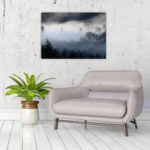 Skleněný obraz mlhy nad lesem (70x50 cm)