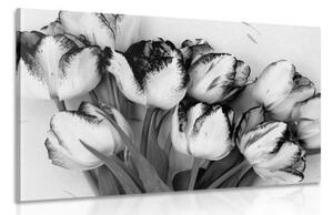 Obraz jarní tulipány v černobílém provedení - 120x80 cm