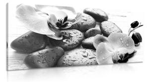 Obraz kouzelná souhra kamenů a orchideje v černobílém provedení - 100x50 cm