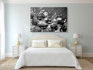 Obraz malované polní máky v černobílém provedení - 120x80 cm
