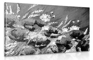 Obraz malované polní máky v černobílém provedení - 60x40 cm