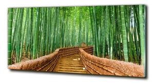 Moderní skleněný obraz z fotografie Bambusový les osh-97156437