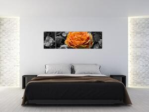 Obraz květu (170x50 cm)
