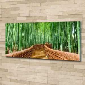 Moderní skleněný obraz z fotografie Bambusový les osh-97156437