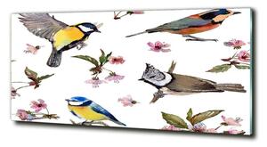 Fotoobraz na skle Ptáci květiny viště osh-98117635
