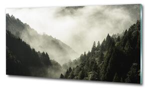 Foto obraz fotografie na skle Mlha nad lesem osh-98626353