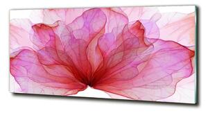 Foto obraz sklo tvrzené Růžová květina osh-98648030