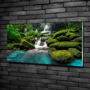 Fotoobraz na skle Vodopád v džungli osh-99201253