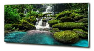 Fotoobraz na skle Vodopád v džungli osh-99201253