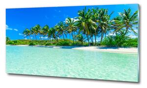 Foto obraz sklo tvrzené Tropická pláž osh-99365379