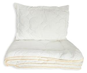 2G Lipov Ložní souprava Lyocell-Tencel / bavlna pro miminka 100x135 + 40x60 cm