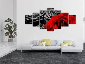 Obraz - Květy růží (210x100 cm)