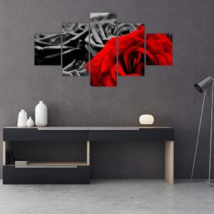 Obraz - Květy růží (125x70 cm)