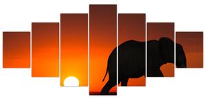 Obraz slona při západu slunce (210x100 cm)