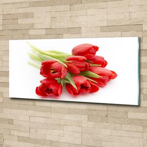 Foto obraz skleněný horizontální Červené tulipány osh-99817079