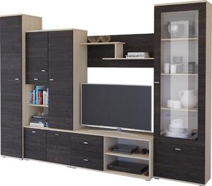 Obývací stěna ASH 290