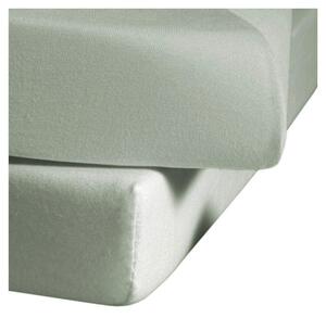 PROSTĚRADLO, single jersey, 100/200 cm Fleuresse - Prostěradla