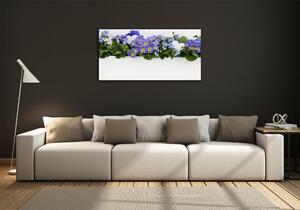 Foto-obrah sklo tvrzené Modré květiny osh-99973378