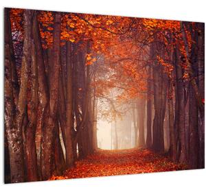 Obraz - Podzimní les (70x50 cm)