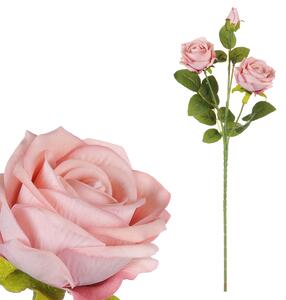 Růže, 3 hlavy, barva růžová Samet KN6161 PINK