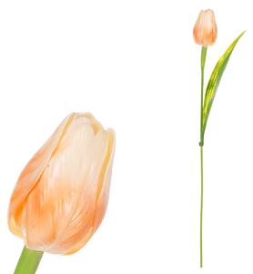 Tulipán plastový v meruňkové barvě Cena za 1ks Ve svazku 12ks SG60104 APPR2