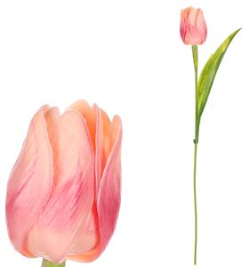 Tulipán plastový v meruňkové barvě Cena za 1ks Ve svazku 12ks SG60104 APPR