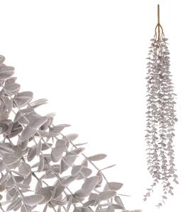 Eukalyptus převislý, světle šedá barva SG60101 GREY-LT