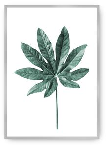 Plakát Leaf Emerald Green