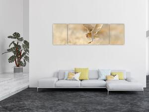 Obraz - Sova pálená (170x50 cm)