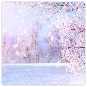Obraz - Mrazivá zima (30x30 cm)