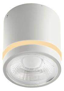 Moderní podhledové svítidlo Vici IP44 CCT bílá