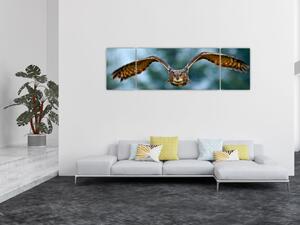Obraz - Sova při letu (170x50 cm)