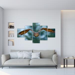 Obraz - Sova při letu (125x70 cm)