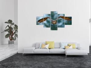 Obraz - Sova při letu (125x70 cm)