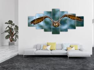 Obraz - Sova při letu (210x100 cm)