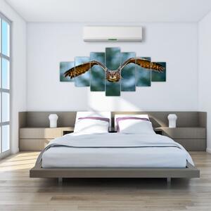 Obraz - Sova při letu (210x100 cm)