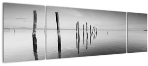 Obraz černobílé vodní hladiny (170x50 cm)