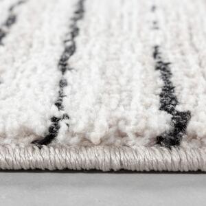 Ayyildiz, Moderní kusový koberec Taznaxt 5106 Cream | Bílá Typ: 80x150 cm