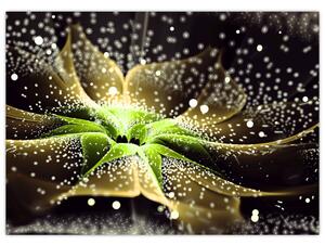 Obraz - Detail květu (70x50 cm)