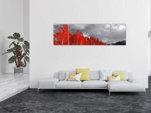 Obraz - Stromy v barvě podzimu (170x50 cm)