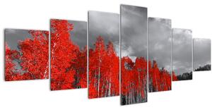 Obraz - Stromy v barvě podzimu (210x100 cm)