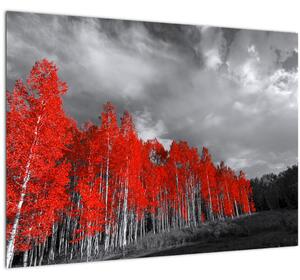 Obraz - Stromy v barvě podzimu (70x50 cm)