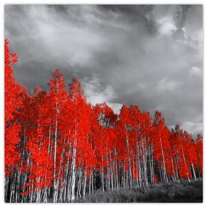 Obraz - Stromy v barvě podzimu (30x30 cm)
