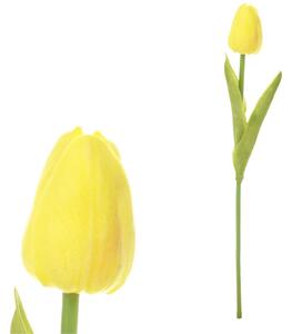 Pěnový tulipán žlutý
