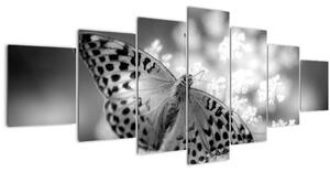 Obraz - Detail motýla opylující květ (210x100 cm)