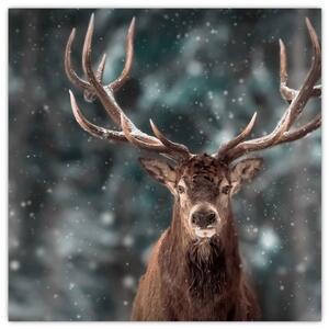 Obraz - Majestátnost jelena (30x30 cm)