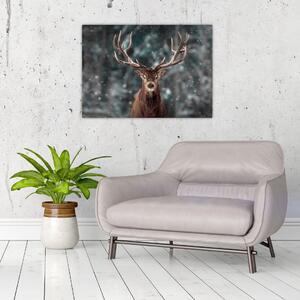 Obraz - Majestátnost jelena (70x50 cm)