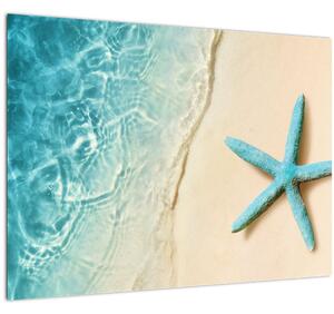 Obraz - Hvězdice na pláži (70x50 cm)