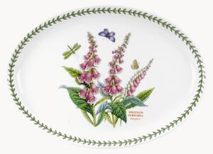 Oválný servírovací talíř Foxglove