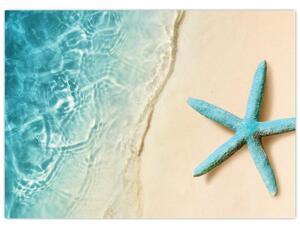 Obraz - Hvězdice na pláži (70x50 cm)